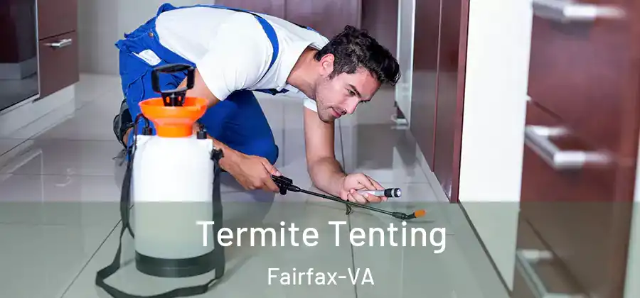 Termite Tenting Fairfax-VA