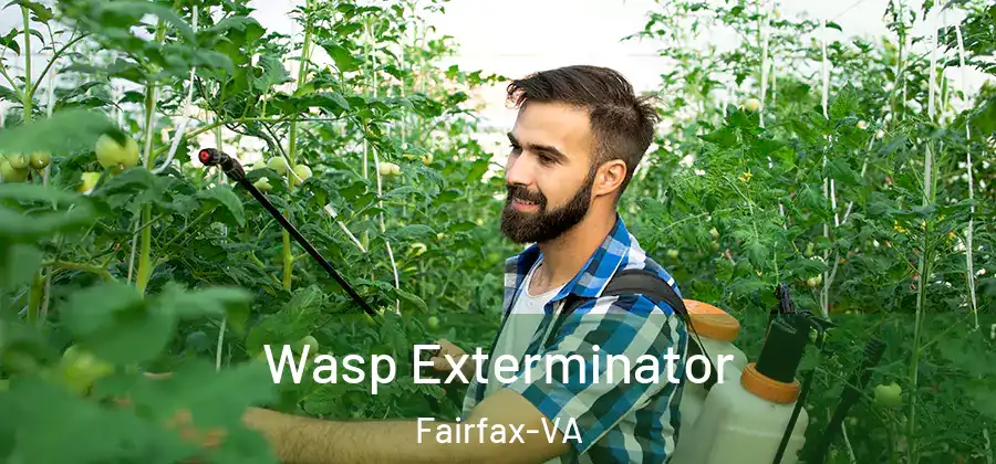 Wasp Exterminator Fairfax-VA
