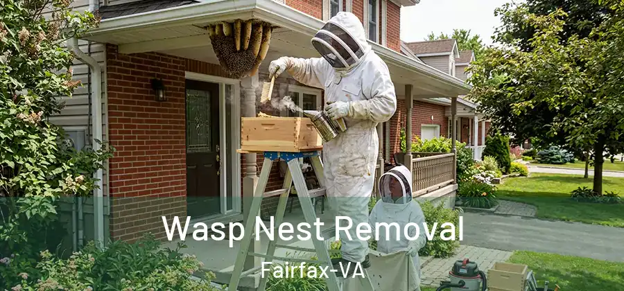 Wasp Nest Removal Fairfax-VA