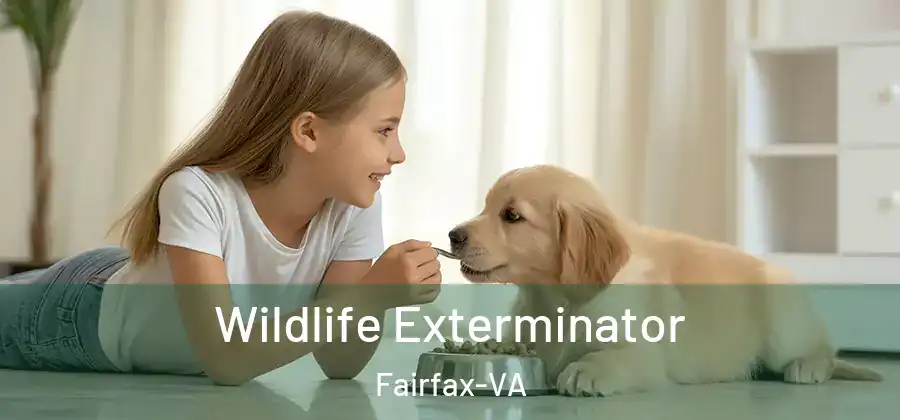  Wildlife Exterminator Fairfax-VA
