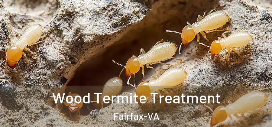 Wood Termite Treatment Fairfax-VA