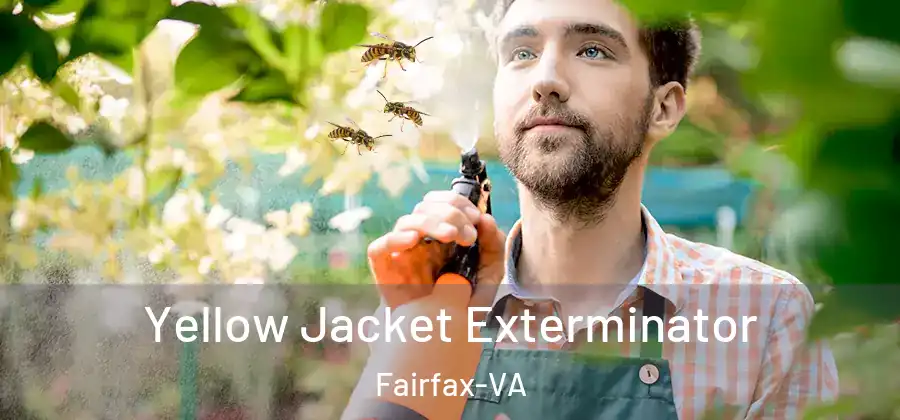 Yellow Jacket Exterminator Fairfax-VA